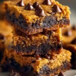Fudgy Pumpkin Chocolate Chip